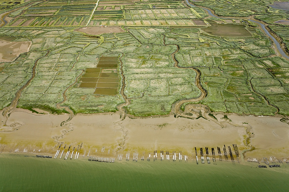 L’agriculture littorale face à la montée des eaux