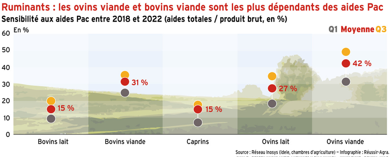 Ruminants : les ovins viande et bovins viande sont les plus dépendants des aides Pac