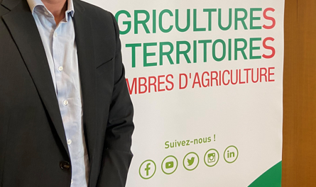 Élections chambres : suivez les résultats en direct