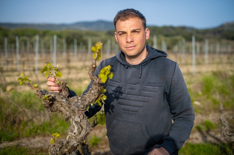Vin : le Français Samuel Masse nouveau président des vignerons indépendants européens