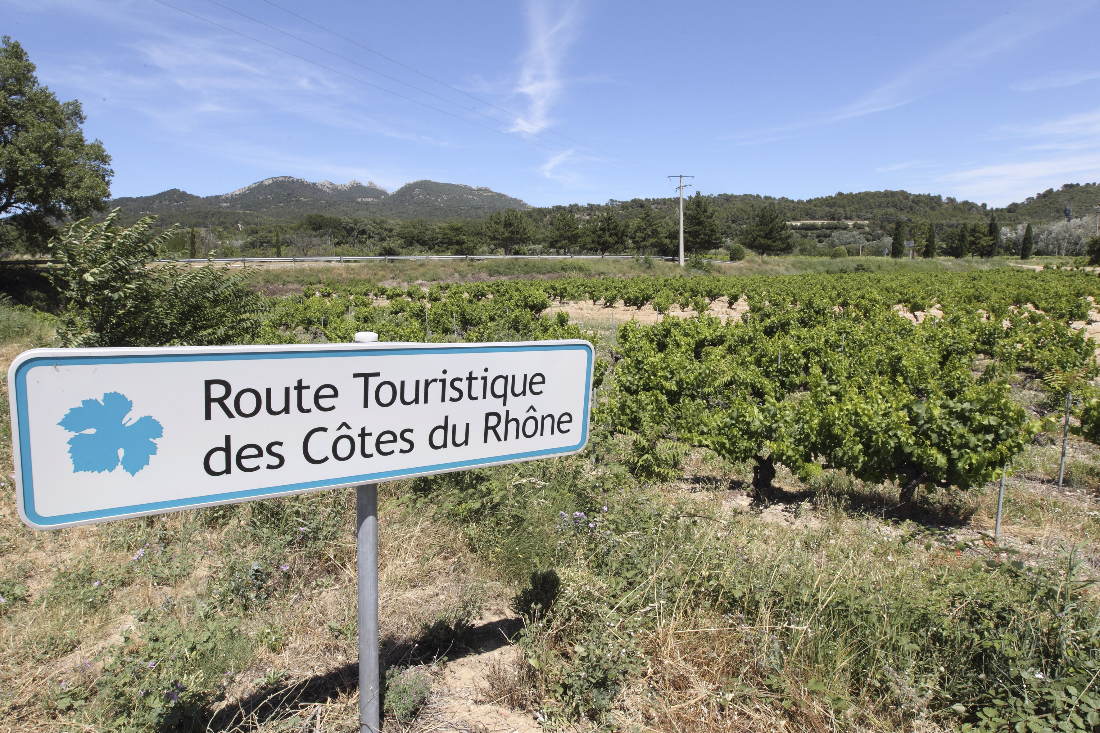 L’œnotourisme, un petit ballon d’oxygène