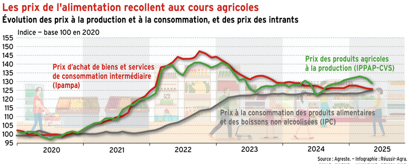 <em class="placeholder">Les prix de l’alimentation ont recollé aux cours agricoles</em>