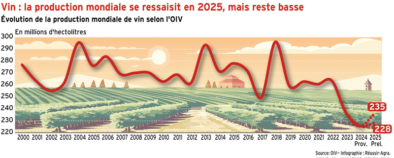 Vin : la production mondiale se ressaisit en 2025, mais reste basse