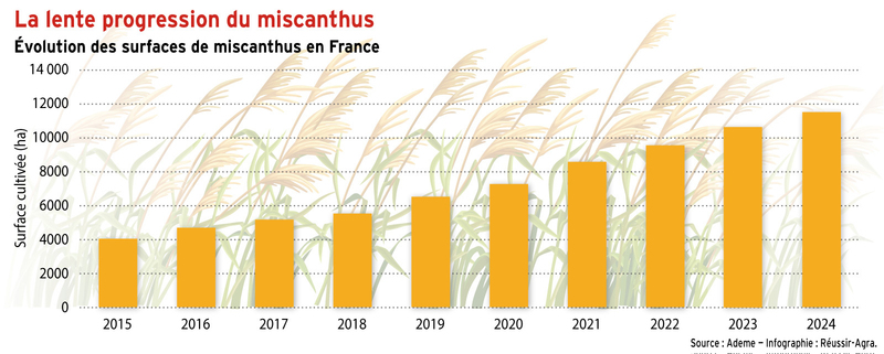 <em class="placeholder">La lente progression du miscanthus en France</em>
