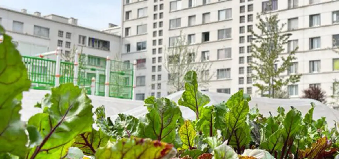 <em class="placeholder">Agriculture urbaine : fin de l’euphorie</em>