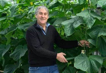 Fruits et légumes : Jean-Pierre La Noë nouveau président de l’AOPn Tomates de France