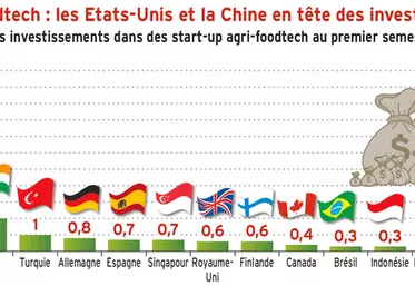 Start-up agri-foodtech : les États-Unis et la Chine en tête des investissements