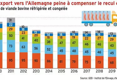 Viande bovine : l’export vers l’Allemagne peine à compenser le recul en Europe du Sud
