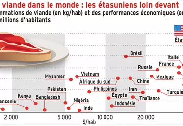 Consommation de viande dans le monde : les étasuniens loin devant