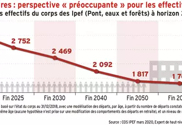 Hauts fonctionnaires : perspective « préoccupante » pour les effectifs d’Ipef