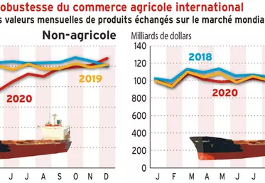 Face au Covid, la robustesse du commerce agricole international