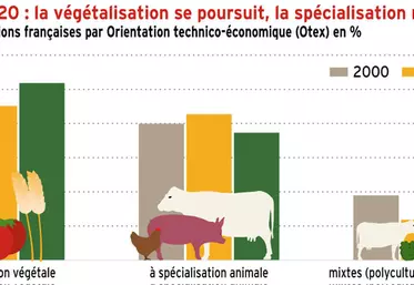 Recensement 2020 : la végétalisation se poursuit, la spécialisation ralentit