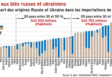 Ces pays très liés aux blés russes et ukrainiens