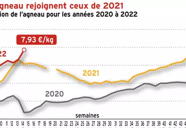 À la veille de Pâques, un marché de l’agneau dans l’expectative
