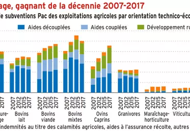 Aides Pac : l’élevage, gagnant de la décennie 2007-2017
