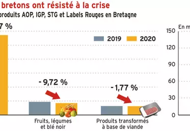 En 2020, les Siqo bretons ont résisté à la crise