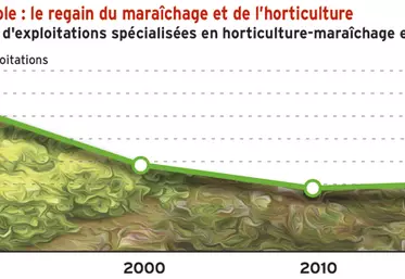 Recensement agricole : le regain du maraîchage et de l’horticulture