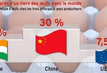 La Chine produit près d’un tiers des œufs dans le monde