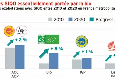 La progression des Siqo essentiellement portée par la bio