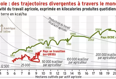 Productivité agricole : des trajectoires divergentes à travers le monde