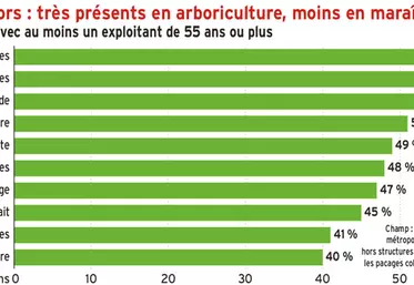 Exploitants seniors : plus courants en arboriculture qu’en maraîchage