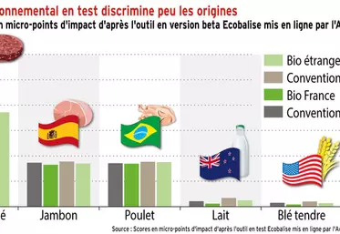 L’affichage environnemental en test discrimine peu les origines