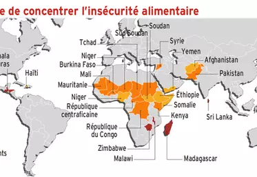L’Afrique continue de concentrer l’insécurité alimentaire
