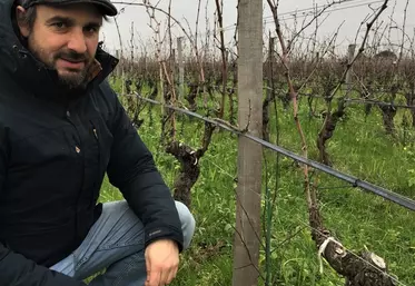 Dans le Bordelais, l’agroforesterie attend une réglementation plus claire
