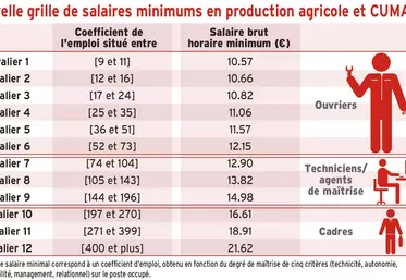 Nouvelle revalorisation des salaires minimaux agricoles