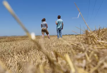 En 2020, seulement 5 % des filles d’agriculteurs sont devenues agricultrices