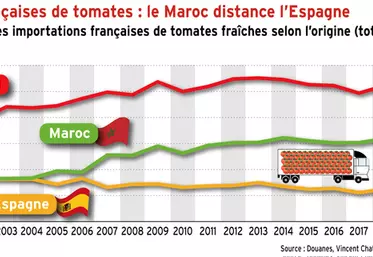 Importations françaises de tomates : le Maroc distance l’Espagne