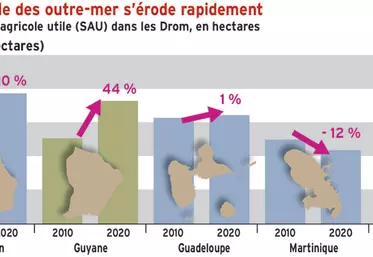 La surface agricole des outre-mer s’érode rapidement