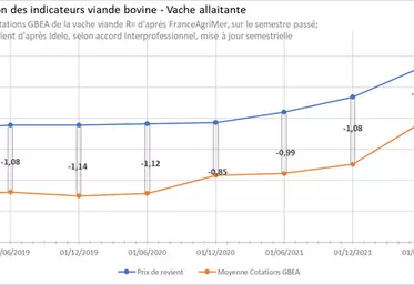 Bovins viande : malgré la hausse, les prix ne couvrent pas les coûts de production