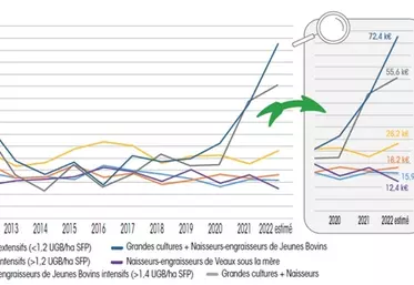 Bovins viande : l’accès aux cultures creuse les écarts de revenu entre éleveurs