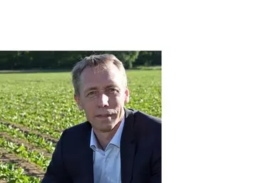 Betteraves : Franck Sander réélu président de la CGB