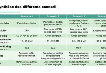 Vaccin contre l’influenza : les scénarios explorés par les professionnels