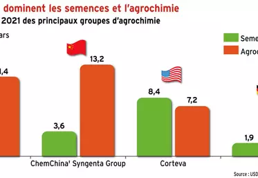 Quatre géants dominent les semences et l’agrochimie mondiale