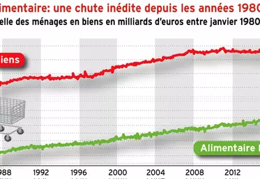 Consommation alimentaire : une chute inédite depuis les années 1980