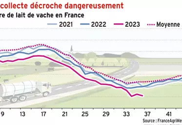 Lait de vache : la collecte décroche sur la première partie de l’année 2023