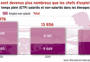 Porc : les salariés sont devenus plus nombreux que les chefs d’exploitation