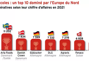 Coopératives agricoles : une française dans le top 10 européen, 29 dans le top 100