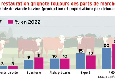 Viande bovine : la restauration grignote toujours des parts de marché aux GMS