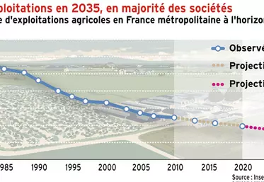 Vers 275 000 exploitations françaises en 2035, en majorité en société