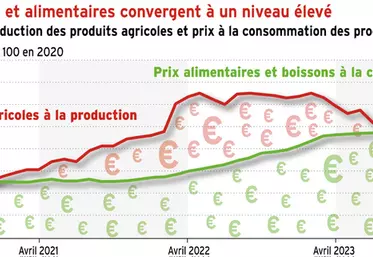 Les prix agricoles et alimentaires convergent à un niveau élevé