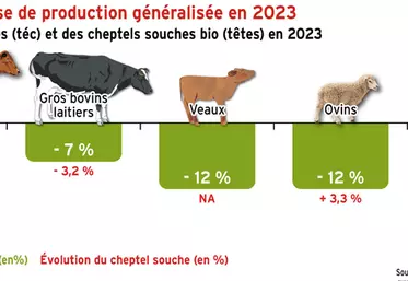 Viandes bio : baisse de production généralisée en 2023
