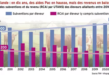 Bovins viande : en dix ans, des aides Pac en hausse, mais des revenus en baisse