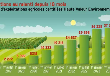 <em class="placeholder">HVE : les certifications au ralenti depuis 18 mois</em>