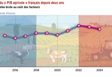 <em class="placeholder">Inflexion du « PIB agricole » français depuis deux ans</em>
