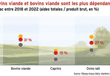 <em class="placeholder">Ruminants : les ovins viande et bovins viande sont les plus dépendants des aides Pac</em>