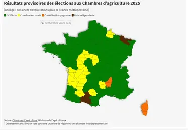 <em class="placeholder">Élections chambres : la carte syndicale redessinée</em>